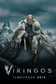Vikings Temporada 6 [20/20](2019)